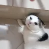 rafa_7535