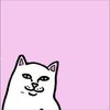 chimi_ch4ngas