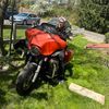 blloyd58