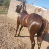 seba_4442