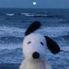 alliso_dariana