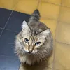 dari.luna86