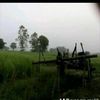 aung.min.zaw50