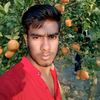 user4010818674153