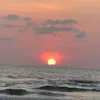 _janna65