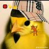 www.tiktok.commakabelico