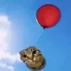 enrique67000