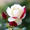 janan7654610839680