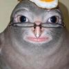 evakitty70