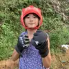 mimisar98