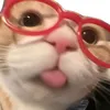 _ahiiieee_