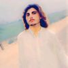 lala.amer.king302
