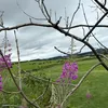 craigwatson0713