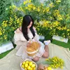 quin_ahn8