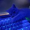 tg.z3r0_n1t3