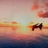 itzcallum_1228
