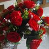 amira.hussain71