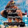 user47959250601980