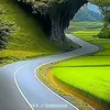 user911406208