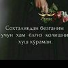 sabr23448