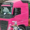 jailton6981