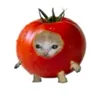 tomino_tomato