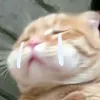 jiiiiyana