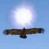 prosto_qazaq77