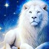💫⚜️🇩🇿ĮŇČỖŇŇǗ (1)🇩🇿⚜️💫