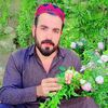saddam.hussain0698