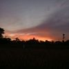 rull_2126