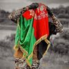 afaq.ali281