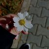 mryam50947