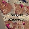 dlice.algroise7