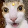 kanayaael