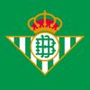 💚FAN DE REAL BETIS💚