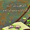 rehanbhatti.49