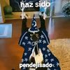 nosexdd_10