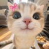 lluppyess_