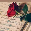 user7367083030661