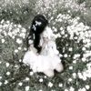 shaima24329