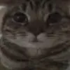 sjajqjhszh