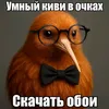 netu_ya_v_afrike