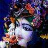 shilpe.adhikaree