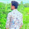 user8177280629667