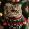 catsinchristmasweaters