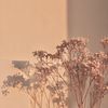 aa_gh28