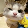 rizkyefe28