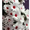 am_dahaa12