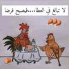 user8812297693240
